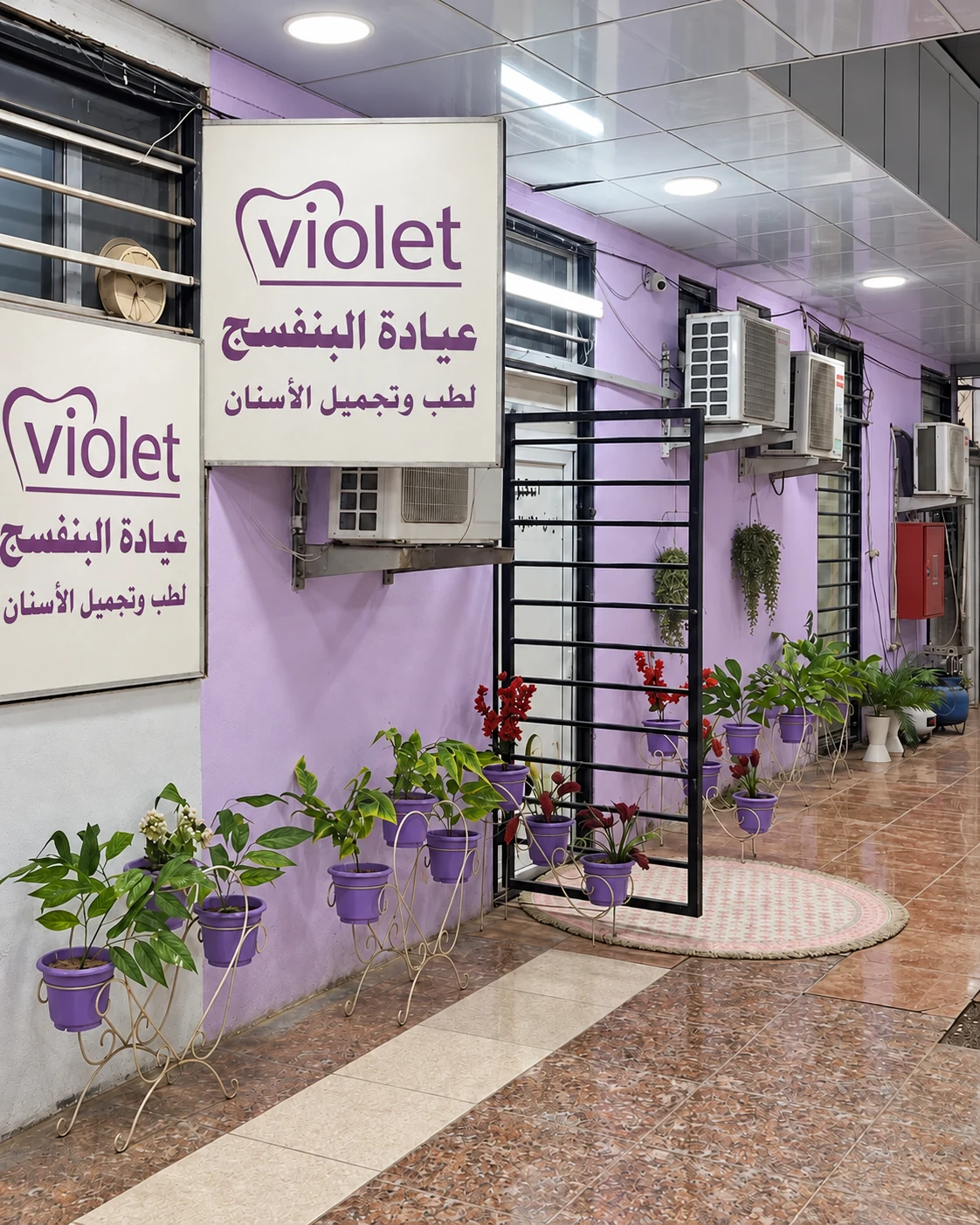 أهلاً بك في البنفسج